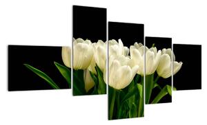 Bílé tulipány - obraz (150x85cm)