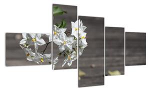 Obrazy květiny (150x85cm)