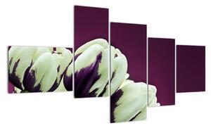 Makro tulipánů - obraz (150x85cm)