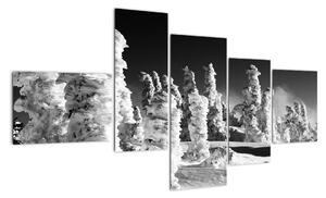 Obraz - zimní hory (150x85cm)