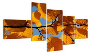 Podzimní listí - obraz (150x85cm)