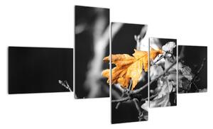 Obraz - přicházející podzim (150x85cm)