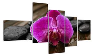 Obraz orchideje (150x85cm)