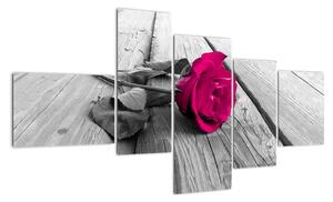 Obrazy květin - růže (150x85cm)