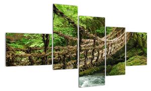 Obraz - most v přírodě (150x85cm)