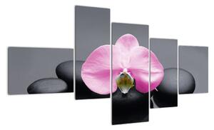 Květ orchideje - obraz (150x85cm)