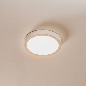 LED stropní svítidlo Vika, kulaté, bílá, Ø 18cm