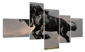 Černý kůň, obraz (150x85cm)