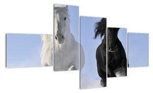 Koně, obraz (150x85cm)