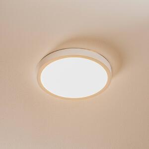 LED stropní svítidlo Vika, kulaté, bílá, Ø 23cm