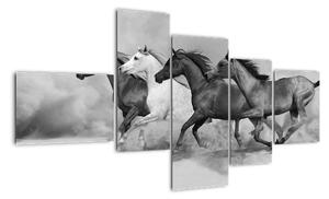 Obraz cválajících koňů (150x85cm)