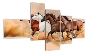 Obraz kůň (150x85cm)