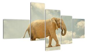 Slon na laně, obraz (150x85cm)