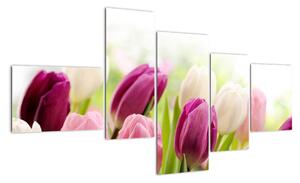 Tulipány, obrazy (150x85cm)