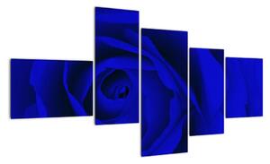 Detail modré růže - obraz (150x85cm)