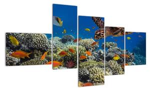 Obraz podmořského světa (150x85cm)