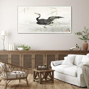 Obraz na skle Obraz na skle Asie Lake Animal Bird