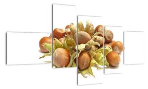 Lískové ořechy - obrazy (150x85cm)