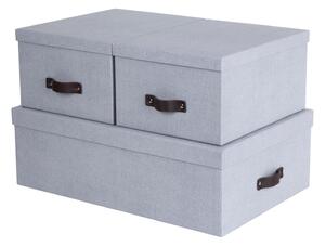 Světle šedé kartonové úložné boxy s víkem v sadě 3 ks 31x47x15 cm Inge – Bigso Box of Sweden