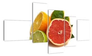 Citrusové plody - obraz (150x85cm)