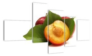 Obraz nektarinek (150x85cm)