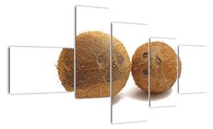 Kokosový ořech, obraz (150x85cm)