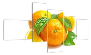 Pomeranče, obraz (150x85cm)