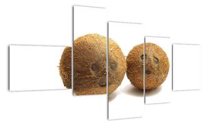 Kokosový ořech, obraz (150x85cm)