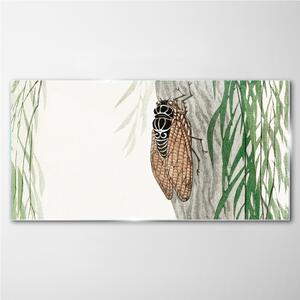 Obraz na skle Obraz na skle Strom asijských hmyze listy