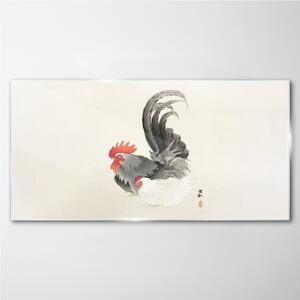 Obraz na skle Obraz na skle Zvířecí pták kuře