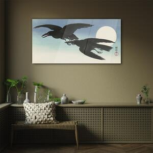 Obraz na skle Obraz na skle Zvířecí pták krádeže obloha