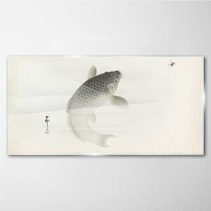Obraz na skle Obraz na skle Zvířata ryby Koi