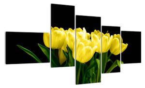 Tulipány - obraz (150x85cm)