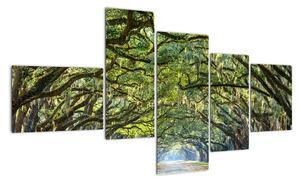 Aleje stromů - obraz (150x85cm)