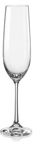 Crystalex - Bohemia Crystal Sklenice na šampaňské Viola 190 ml, 6 ks