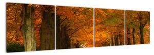 Obraz - cesty lesem na podzim (160x40cm)