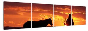 Obraz - koně při západu slunce (160x40cm)