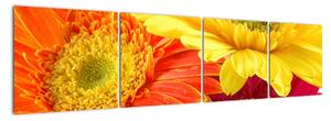 Obraz květů (160x40cm)