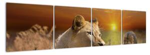 Obrazy zvířat (160x40cm)
