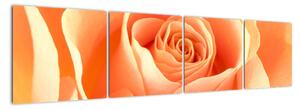 Obraz oranžové růže (160x40cm)