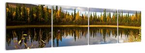 Obraz na stěnu - lesní jezírko (160x40cm)