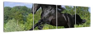 Obraz koně (160x40cm)
