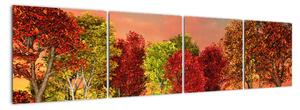 Obraz přírody - barevné stromy (160x40cm)