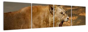Obraz řvoucího lva (160x40cm)