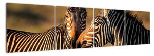 Obraz - zebry (160x40cm)