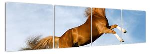 Obraz koně na zadních (160x40cm)