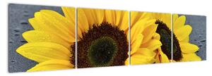 Obraz slunečnice (160x40cm)