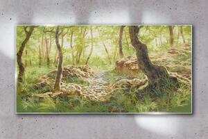 Obraz na skle Obraz na skle Lesní skalní příroda