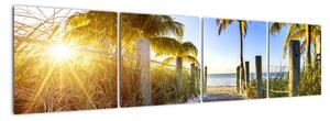 Moderní obraz do bytu - tropický ráj (160x40cm)