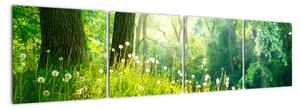 Moderní obrazy přírody (160x40cm)
